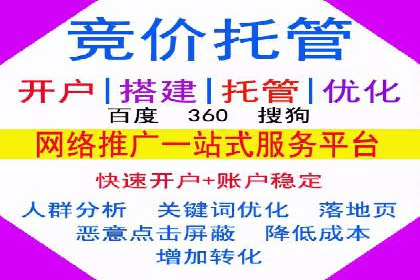 某电商平台的SEM优化托管实践与效果评估